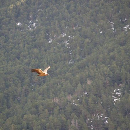 Turisme Rural Lo Palle De Cal Bosch Llagunes Dış mekan fotoğraf