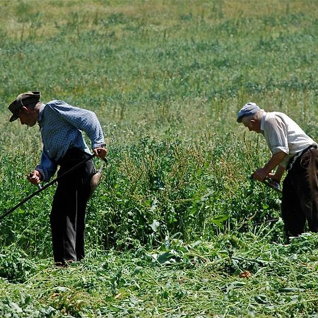 Turisme Rural Lo Palle De Cal Bosch Llagunes Dış mekan fotoğraf