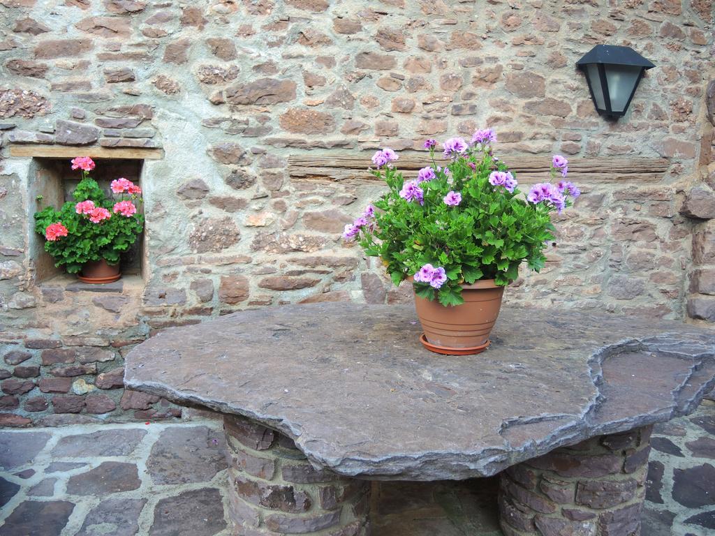 Turisme Rural Lo Palle De Cal Bosch Llagunes Dış mekan fotoğraf
