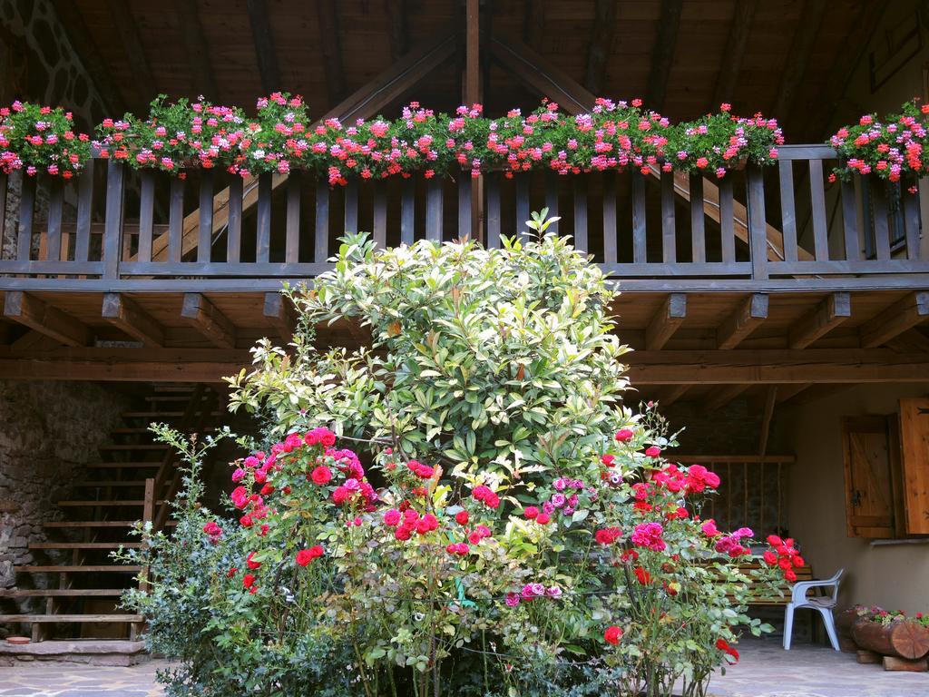 Turisme Rural Lo Palle De Cal Bosch Llagunes Dış mekan fotoğraf