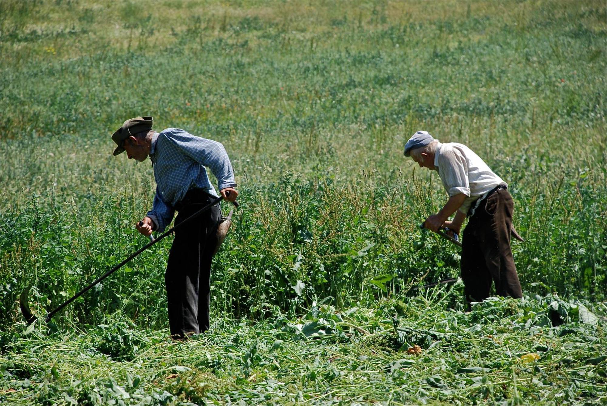 Turisme Rural Lo Palle De Cal Bosch Llagunes Dış mekan fotoğraf