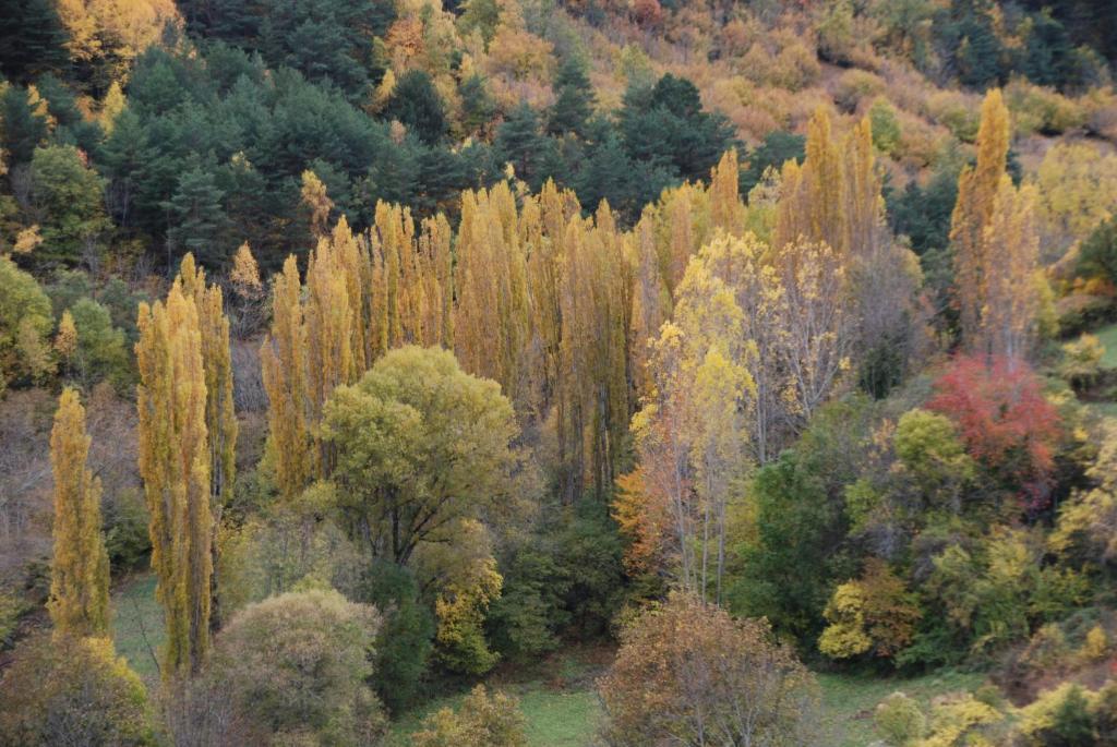 Turisme Rural Lo Palle De Cal Bosch Llagunes Dış mekan fotoğraf