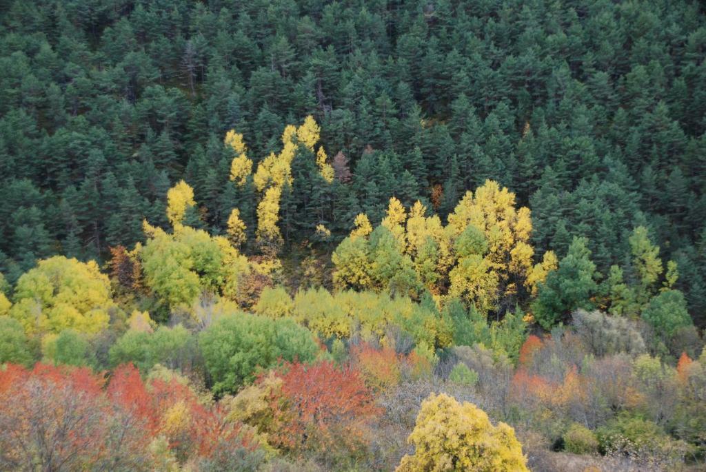 Turisme Rural Lo Palle De Cal Bosch Llagunes Dış mekan fotoğraf