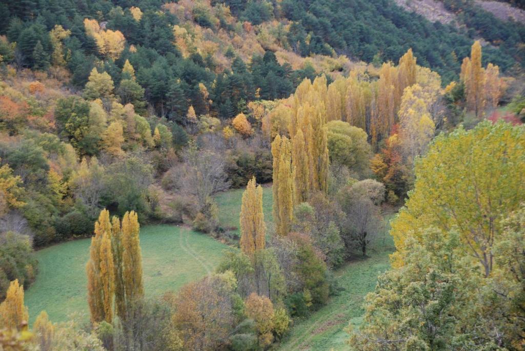 Turisme Rural Lo Palle De Cal Bosch Llagunes Dış mekan fotoğraf