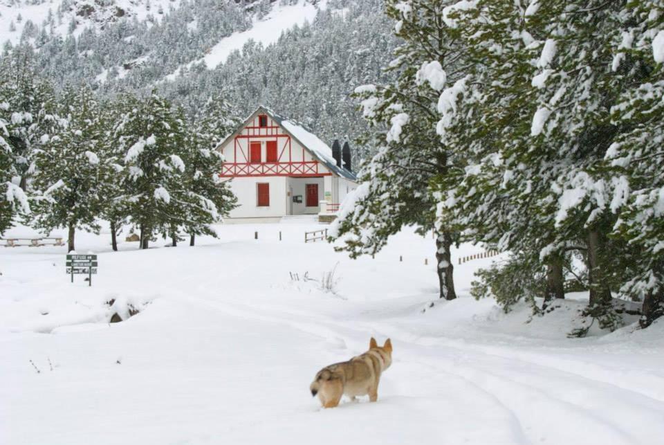 Turisme Rural Lo Palle De Cal Bosch Llagunes Dış mekan fotoğraf