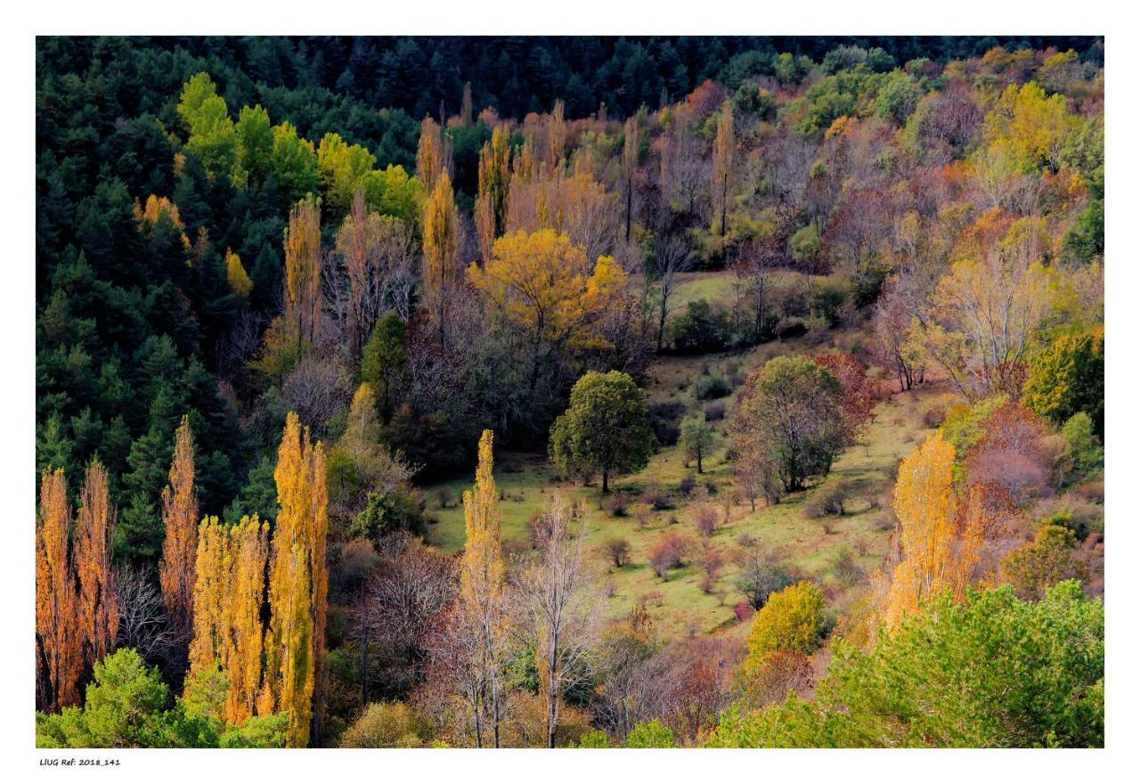 Turisme Rural Lo Palle De Cal Bosch Llagunes Dış mekan fotoğraf